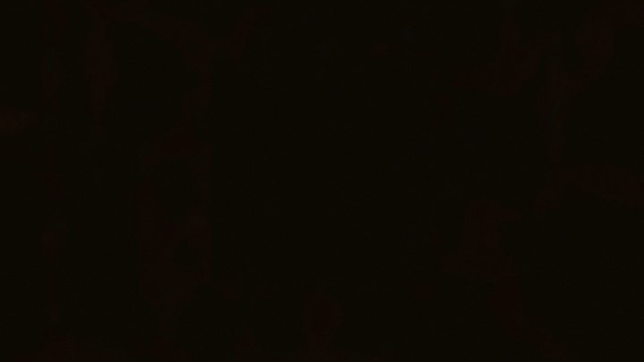 Blanco Silgranit Black colour sample